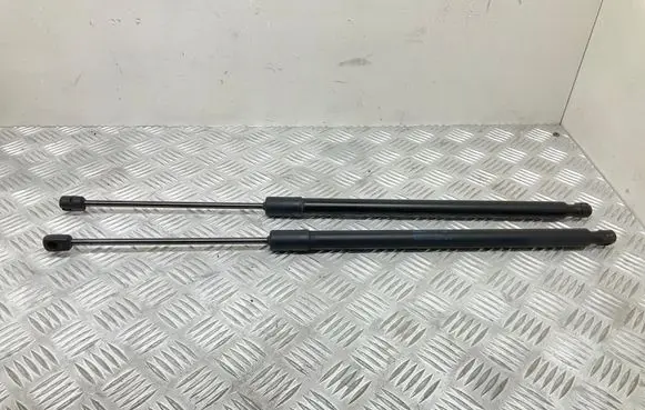 Tailgate strut