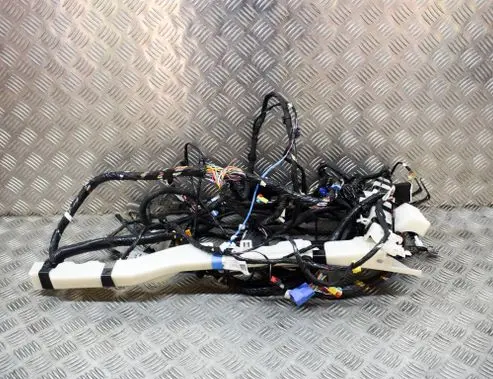 Tesla Model 3 Other wiring loom 206795404C
