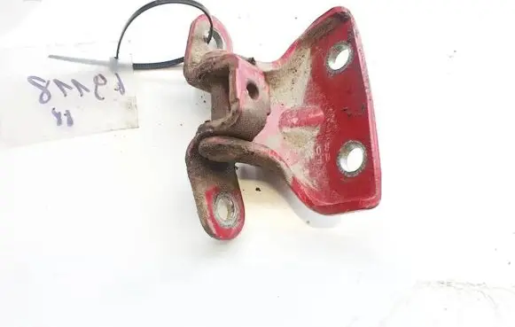 Rear door lower hinge