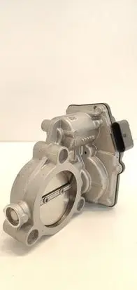 Throttle body valve