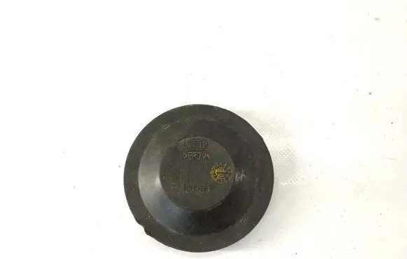 Volkswagen PASSAT B6 Headlight/headlamp dust cover 153873