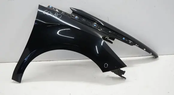 Citroen DS5 Fender DS5090726BPP