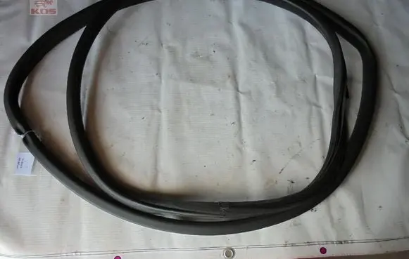 Hyundai Genesis Sliding door rubber seal 