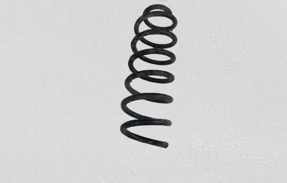 Nissan Qashqai Rear coil spring