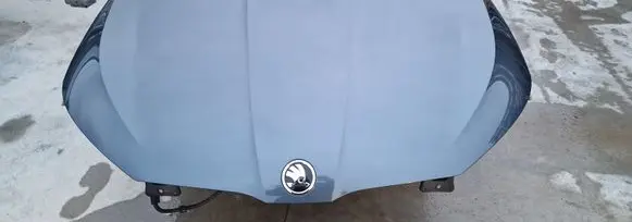 Engine bonnet/hood