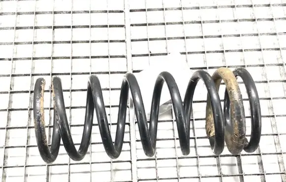 Rear coil spring