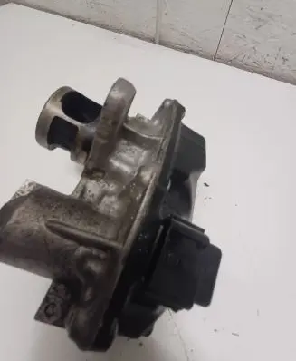 Renault Trafic III (X82) EGR valve H8201061904