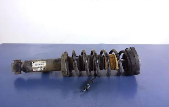 BMW X3 F25 Rear shock absorber/damper 6799911