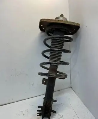 Peugeot 807 Front shock absorber/damper 824904000149