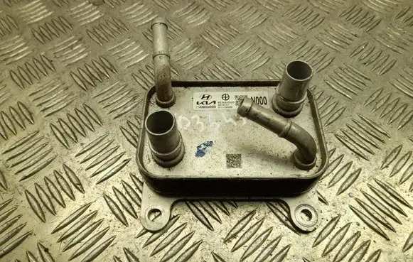 KIA EV6 Engine oil radiator 254N0GI000