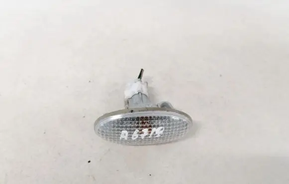 Front fender indicator light