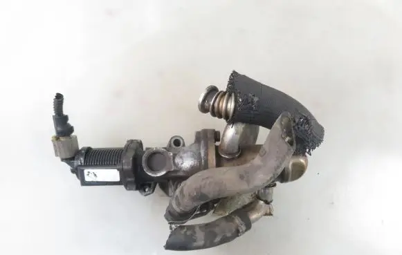 EGR valve