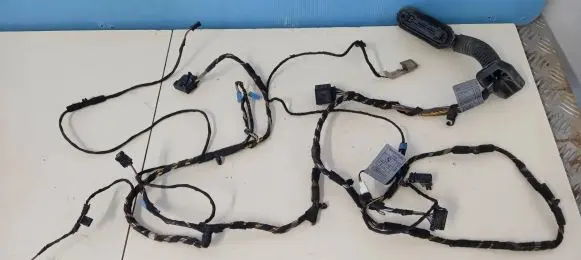 BMW X5 E70 Front door wiring loom 7184659