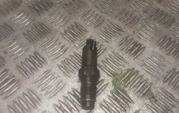 Citroen Berlingo Fuel injector LCR6736001