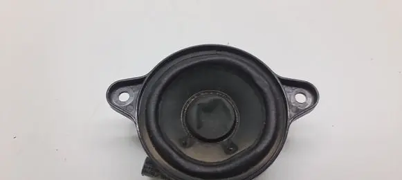 Panel speaker