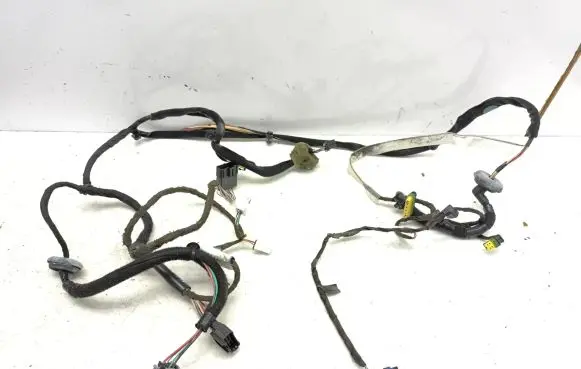 Renault Avantime Front door wiring loom 6025410005