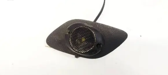 Front door speaker
