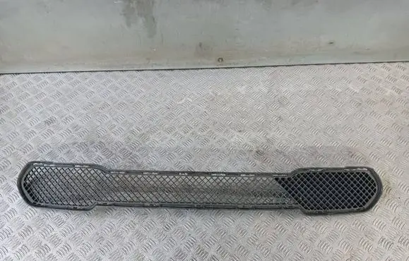 BMW X1 E84 Front bumper lower grill 2990476