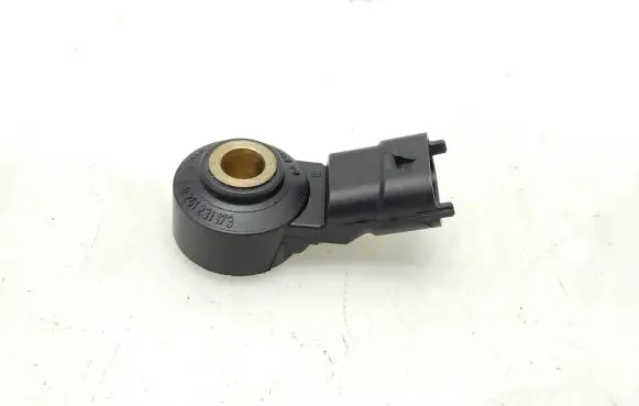 Fiat Punto (199) Detonation knock sensor 0261231173
