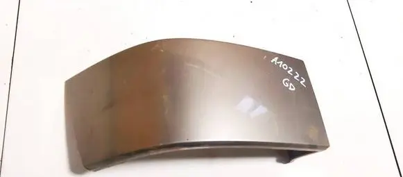 Rear/tail light trim molding