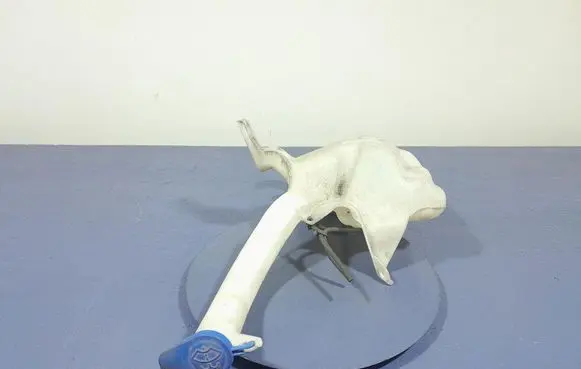 Ford Mondeo MK I Windshield washer fluid reservoir/tank DS7317B613AF