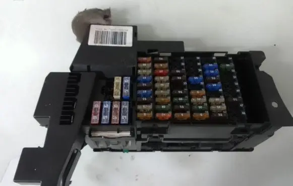 Mercedes-Benz B W245 Fuse module 1695450540