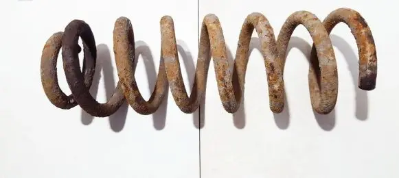 Peugeot 406 Rear coil spring