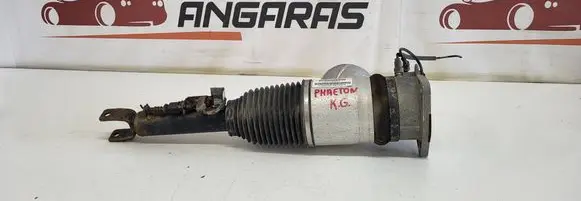 Volkswagen Phaeton Rear shock absorber/damper 3D0616001F