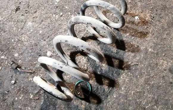 Toyota RAV 4 (XA30) Rear coil spring