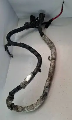 Ford C-MAX II Other wiring loom AV6T3C221 A1239051 A12399667