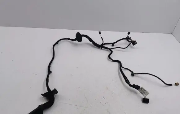 Rear door wiring loom