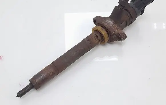 Citroen Berlingo Fuel injector 0445110311 8842547882712