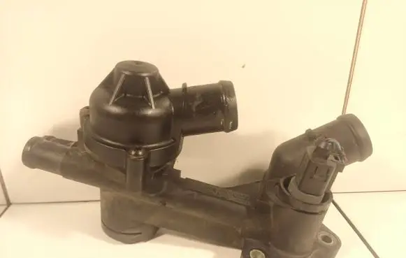 Thermostat/thermostat housing