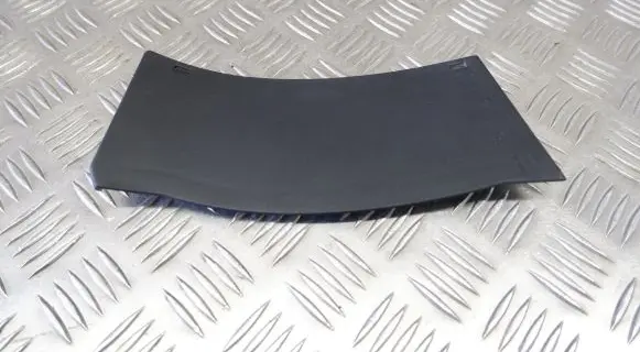 Rear/tail light trim molding