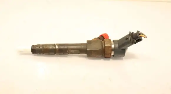 Renault Scenic II - Grand scenic II Fuel injector 0445110110