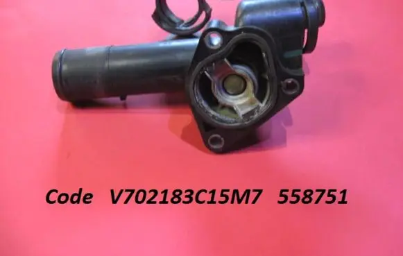 Thermostat/thermostat housing