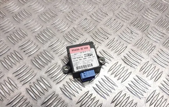 KIA Sorento Other control units/modules 956003E300