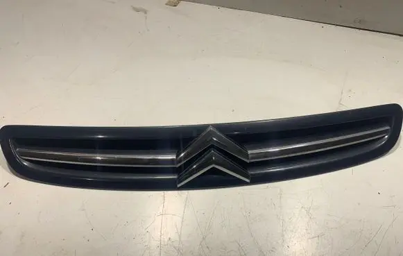 Citroen Xsara Picasso Front bumper upper radiator grill 9650059677