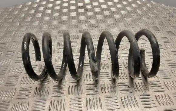 Opel Antara Rear coil spring
