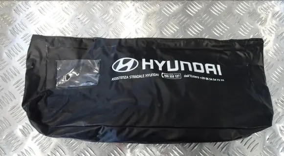 Hyundai Ioniq 5 Emergency warning sign 