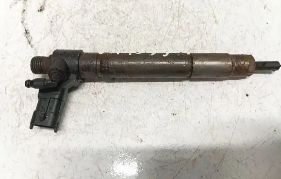 Peugeot 4007 Fuel injector 0445115025