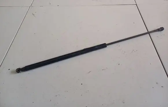 Tailgate/trunk strut/damper