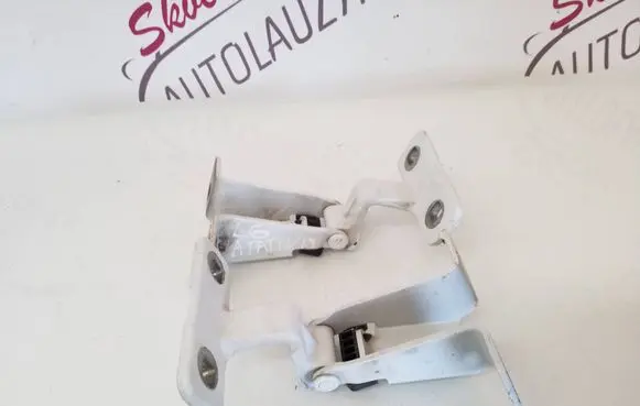 Renault Express Rear door lower hinge