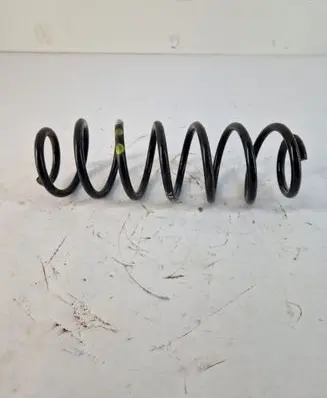 Rear coil spring
