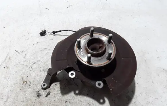 Ford Kuga II Rear wheel hub 2073015