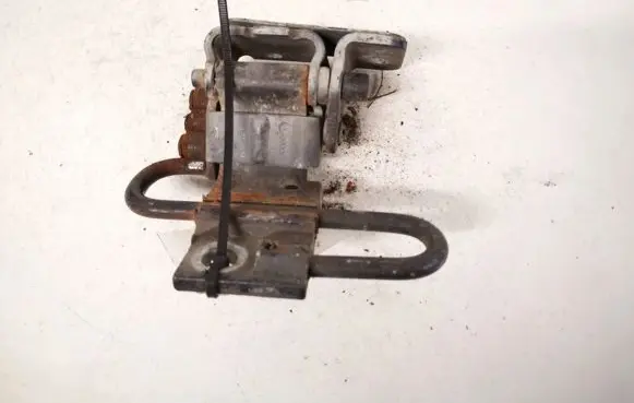 Rear door lower hinge
