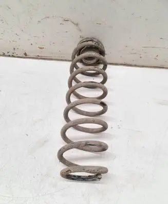 Rear coil spring