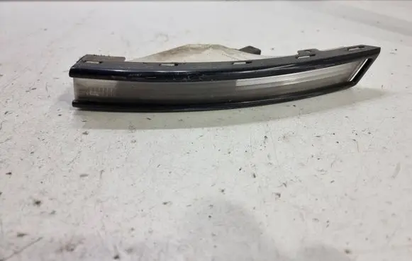 Volkswagen PASSAT B6 Front indicator light 3C0953041L