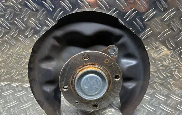 Citroen C4 III e-C4 Rear wheel hub 9825073280
