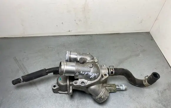 Thermostat/thermostat housing